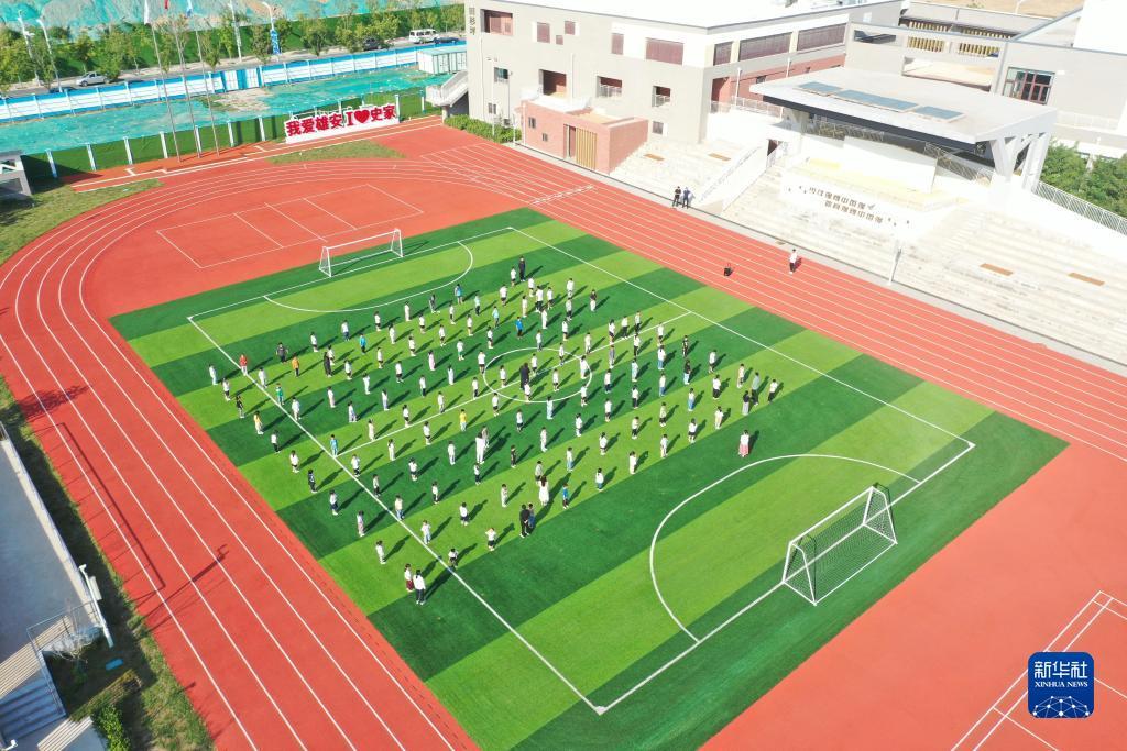 百家龙宝
